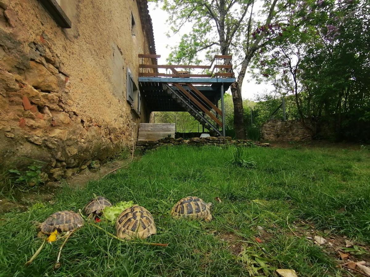 Gite Du Fassac Saint-Julien-du-Puy エクステリア 写真